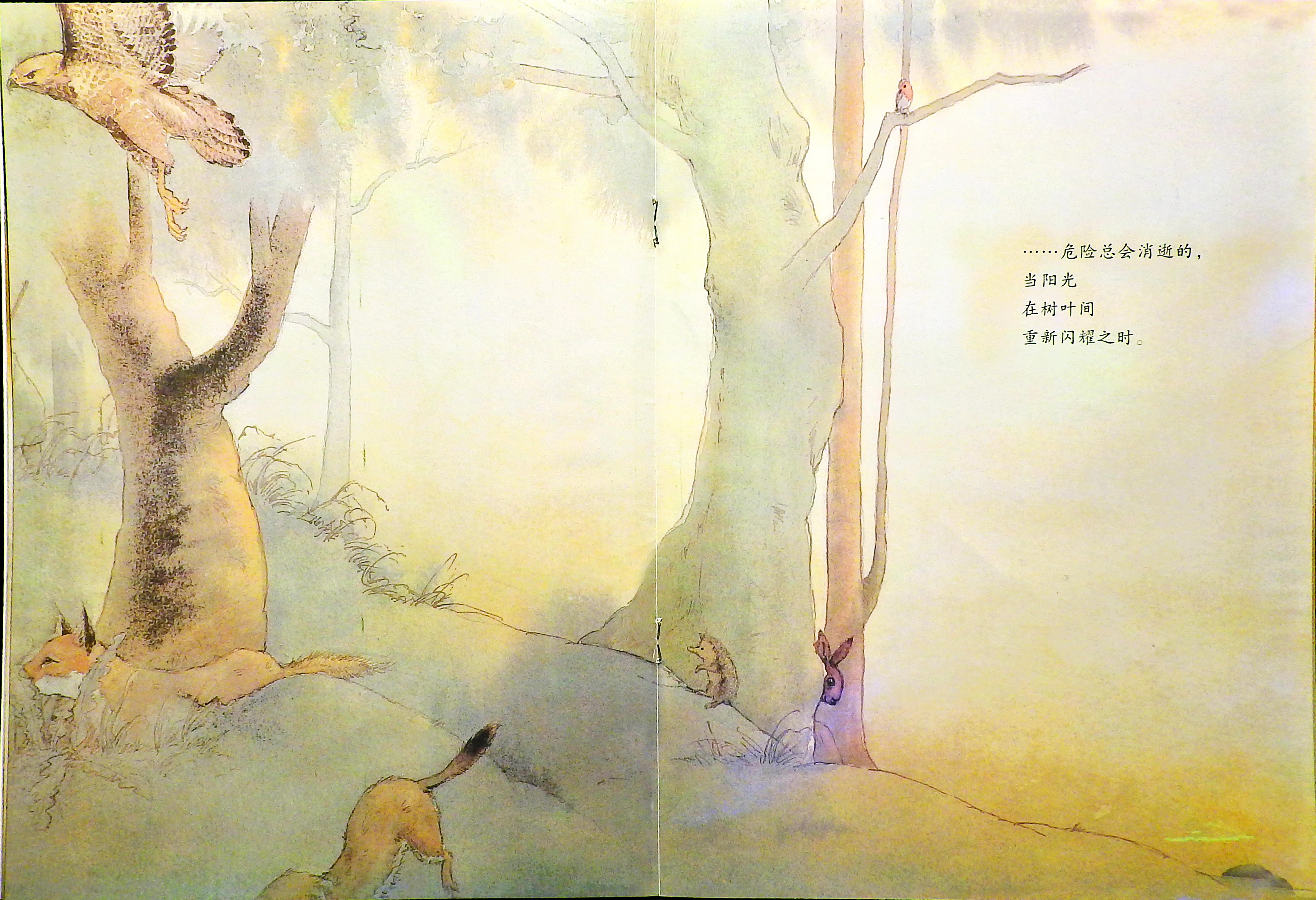 给你的祝愿 (09),绘本,绘本故事,绘本阅读,故事书,童书,图画书,课外阅读